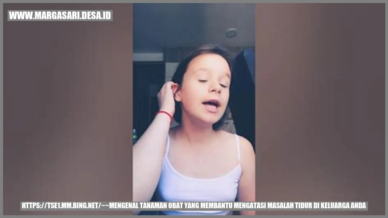 Tanaman Obat Lavender
