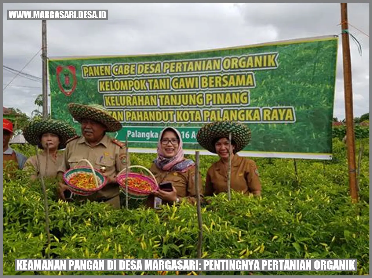 Keamanan Pangan di Desa Margasari: Pentingnya Pertanian Organik