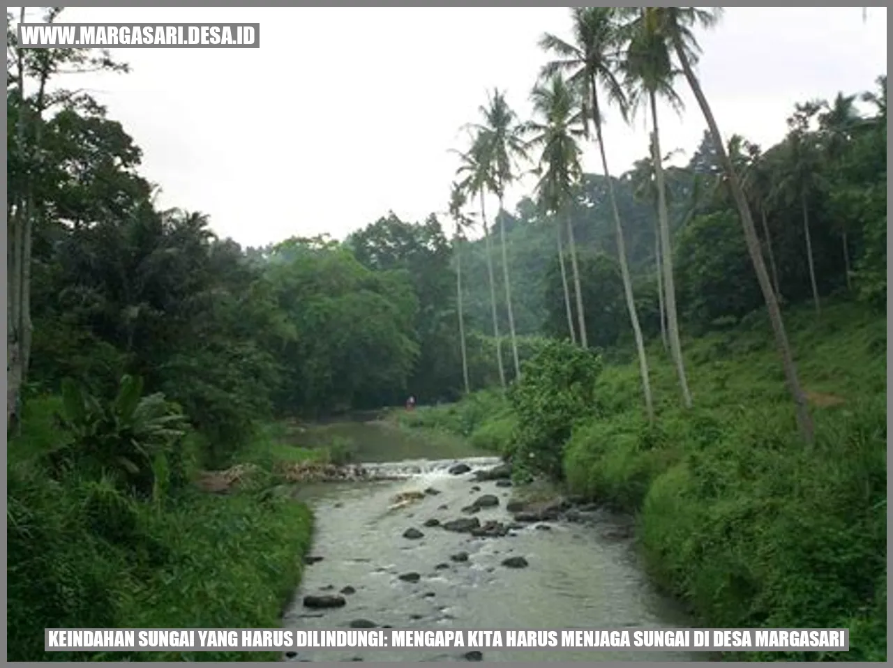 Keindahan Sungai yang Harus Dilindungi: Mengapa Kita Harus Menjaga Sungai di Desa Margasari