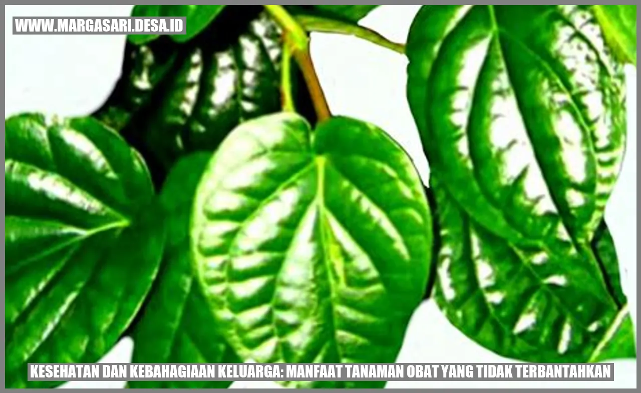 tanaman obat