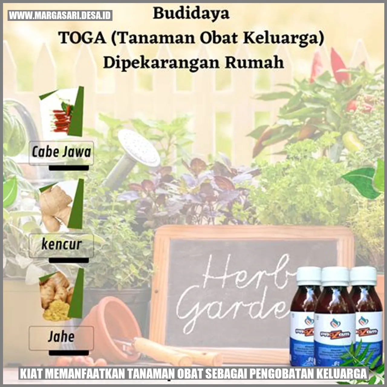 Tanaman Obat Keluarga