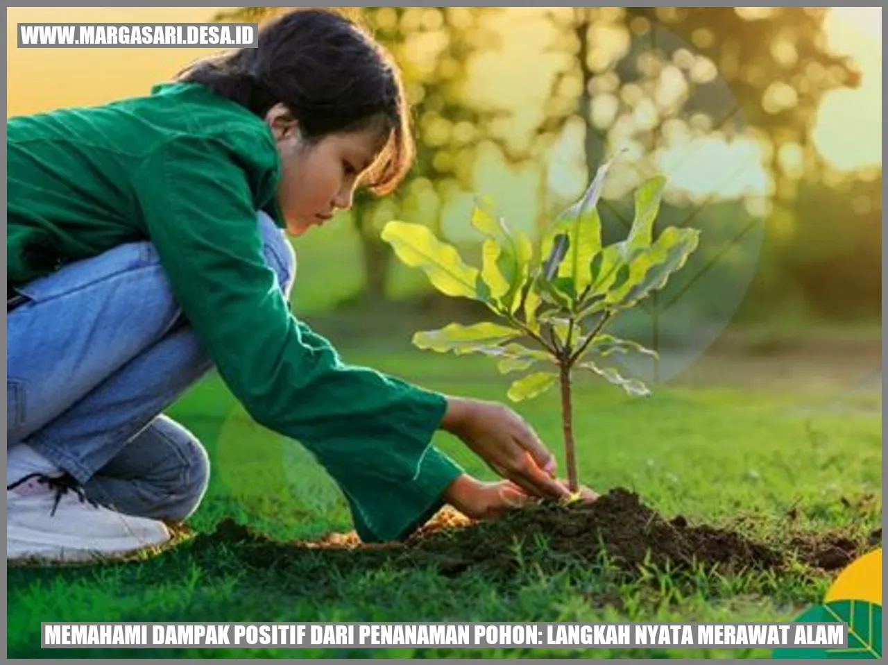 Dampak Positif Penanaman Pohon