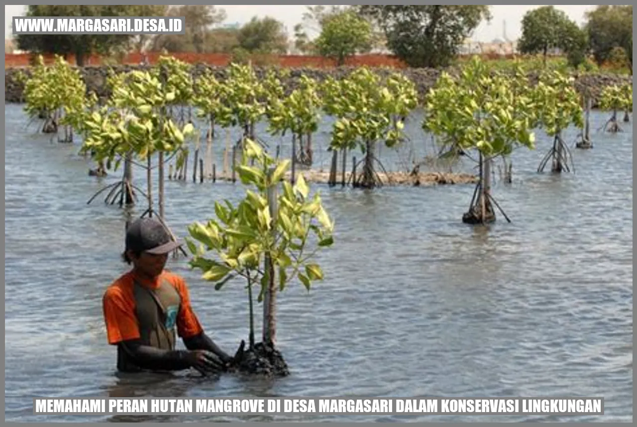 Gambar Hutan Mangrove