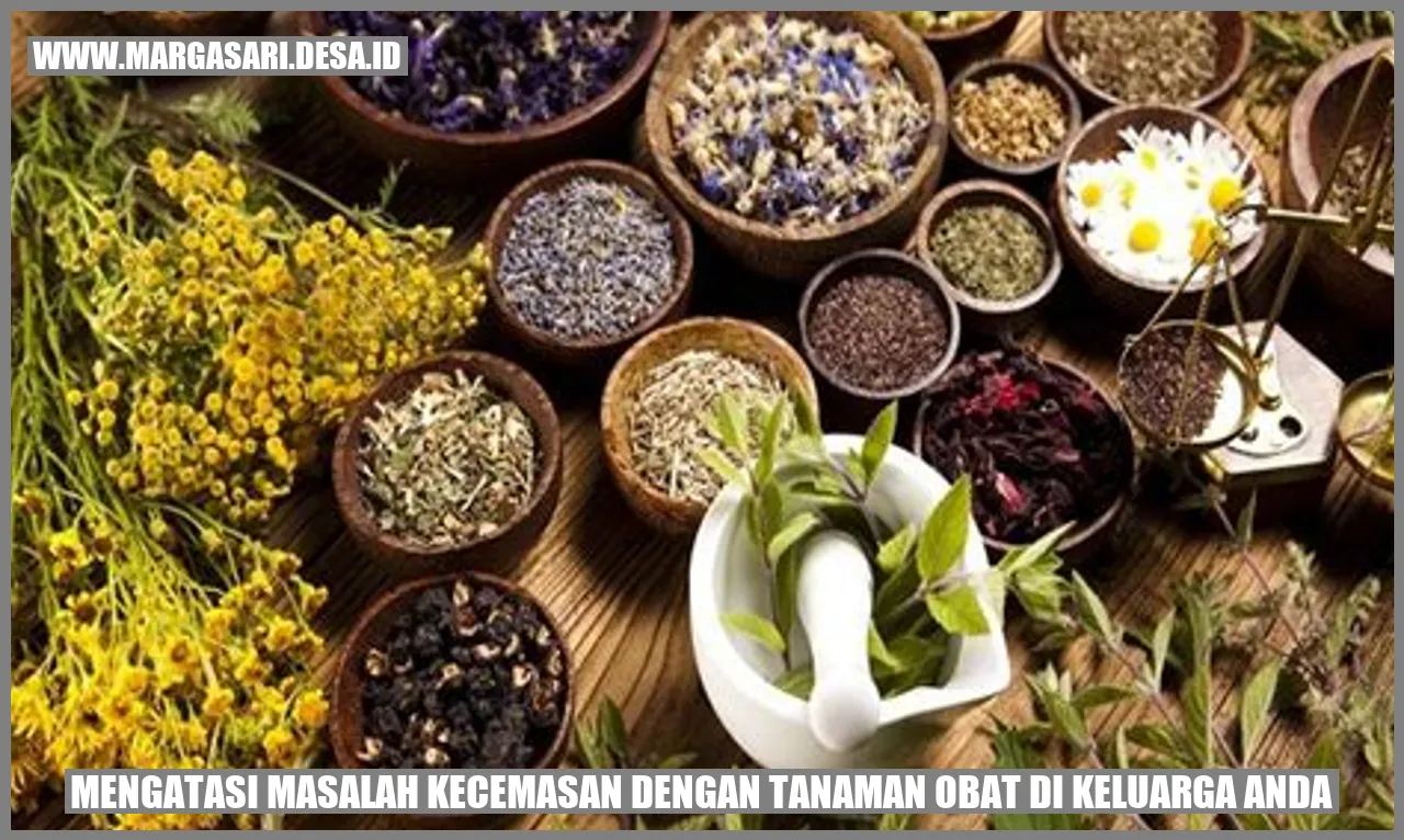 Mengatasi Masalah Kecemasan dengan Tanaman Obat di Keluarga Anda
