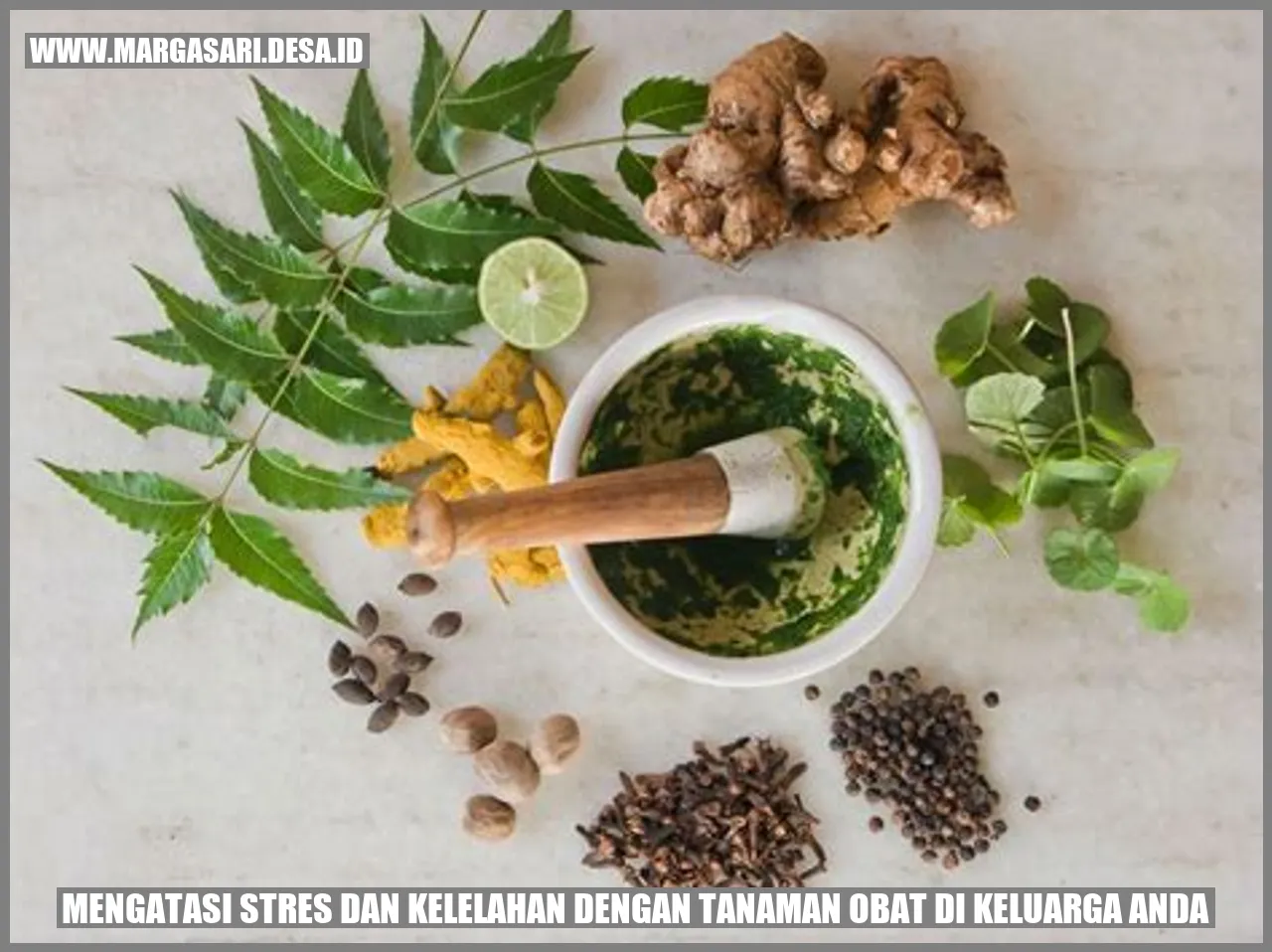 Tanaman Obat Lavender