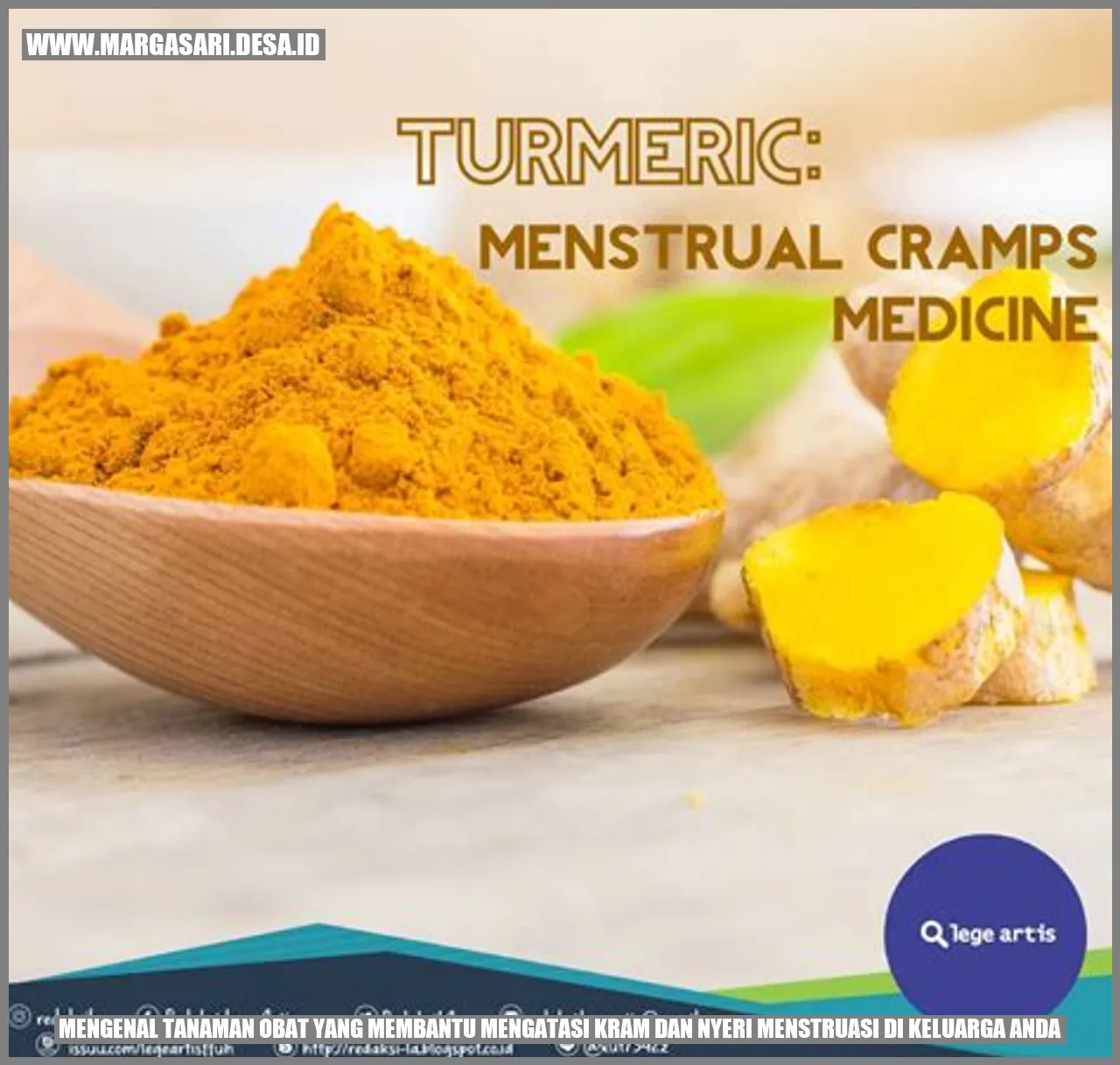 Tanaman Obat