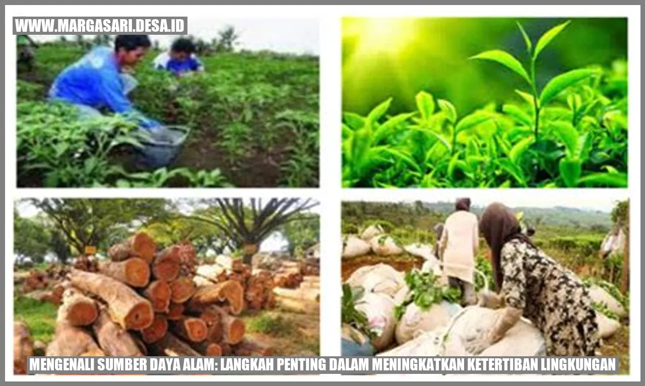 Mengenali Sumber Daya Alam: Langkah Penting dalam Meningkatkan Ketertiban Lingkungan