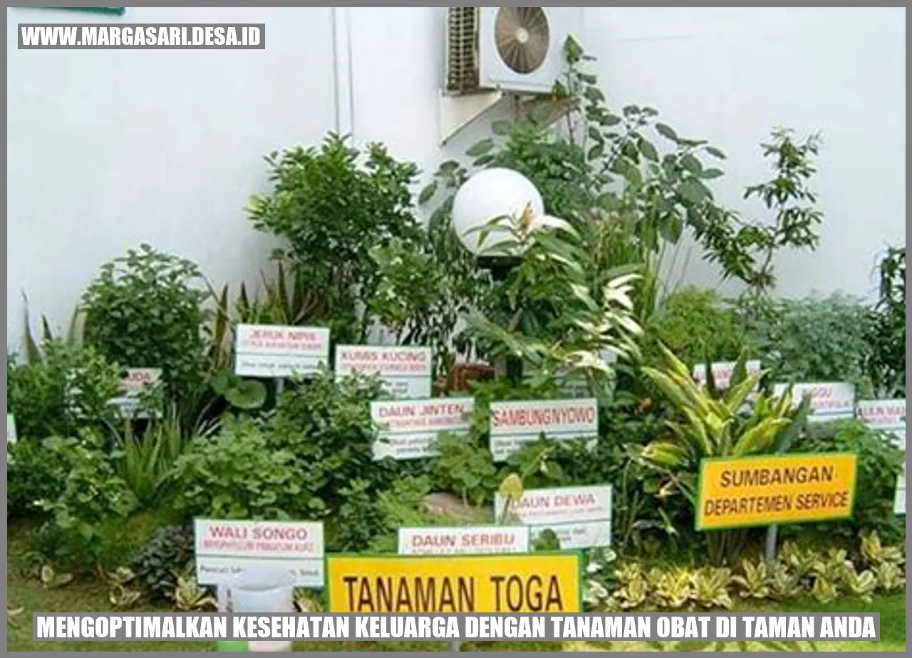 Tanaman Obat untuk Sistem Pernapasan