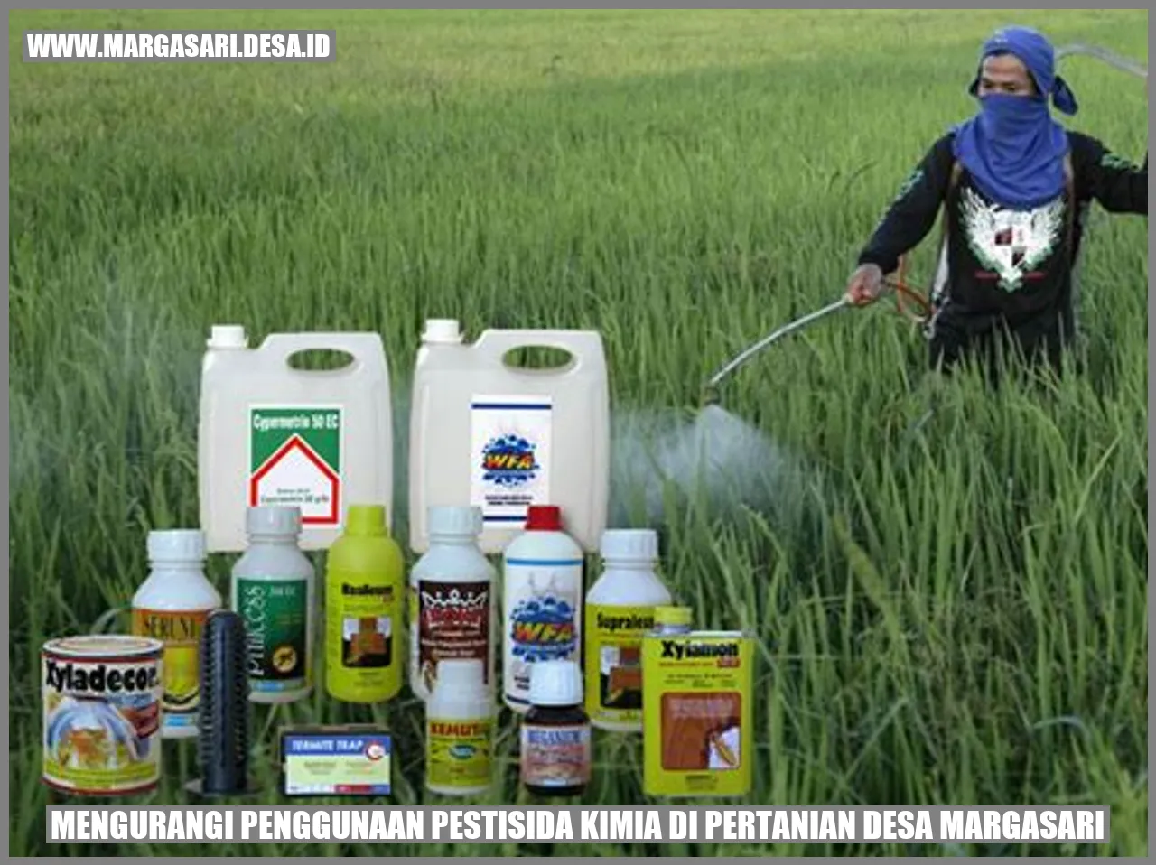 Gambar 1: Dampak Pencemaran Air Tanah oleh Pestisida Kimia