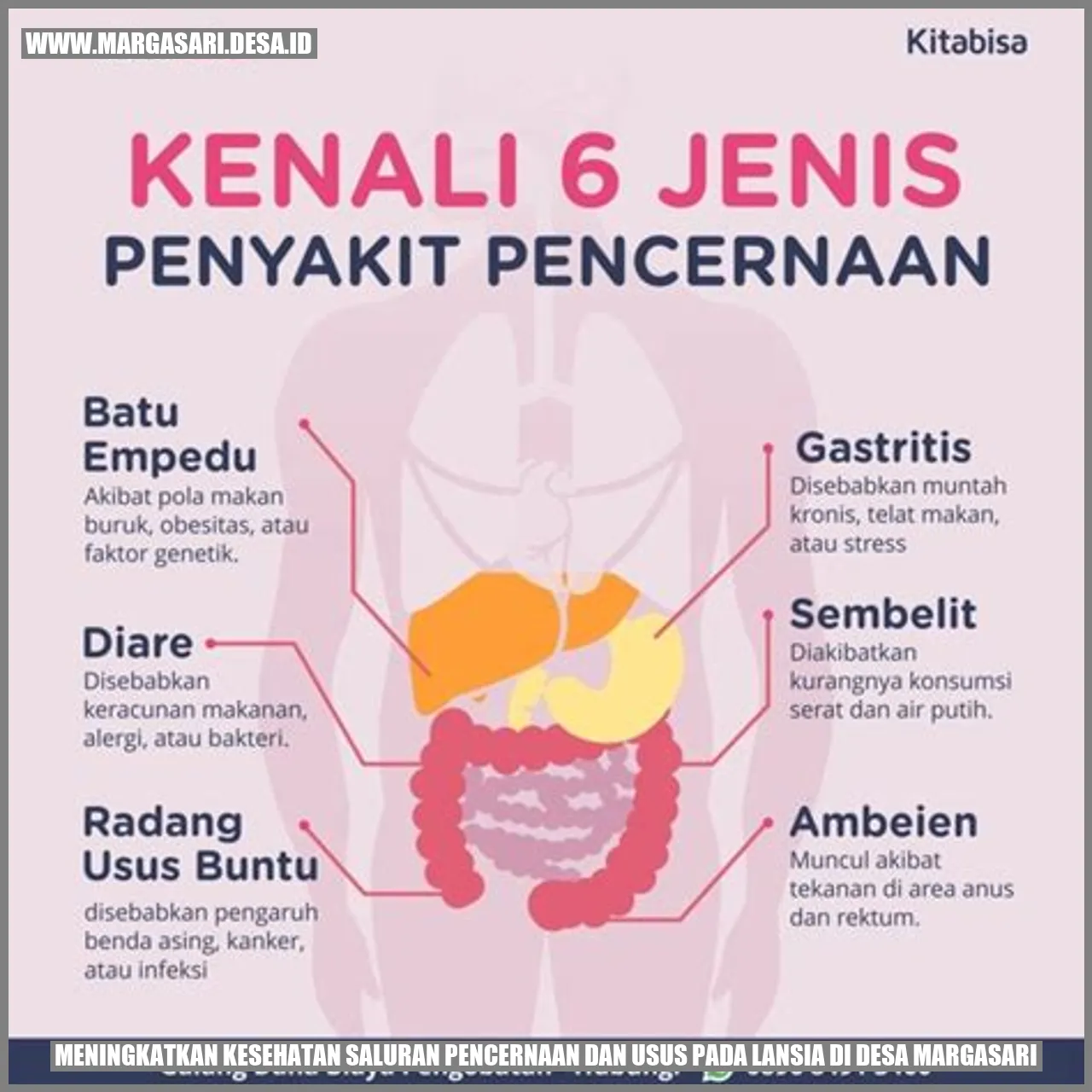 Meningkatkan Kesehatan Saluran Pencernaan dan Usus pada Lansia di Desa Margasari