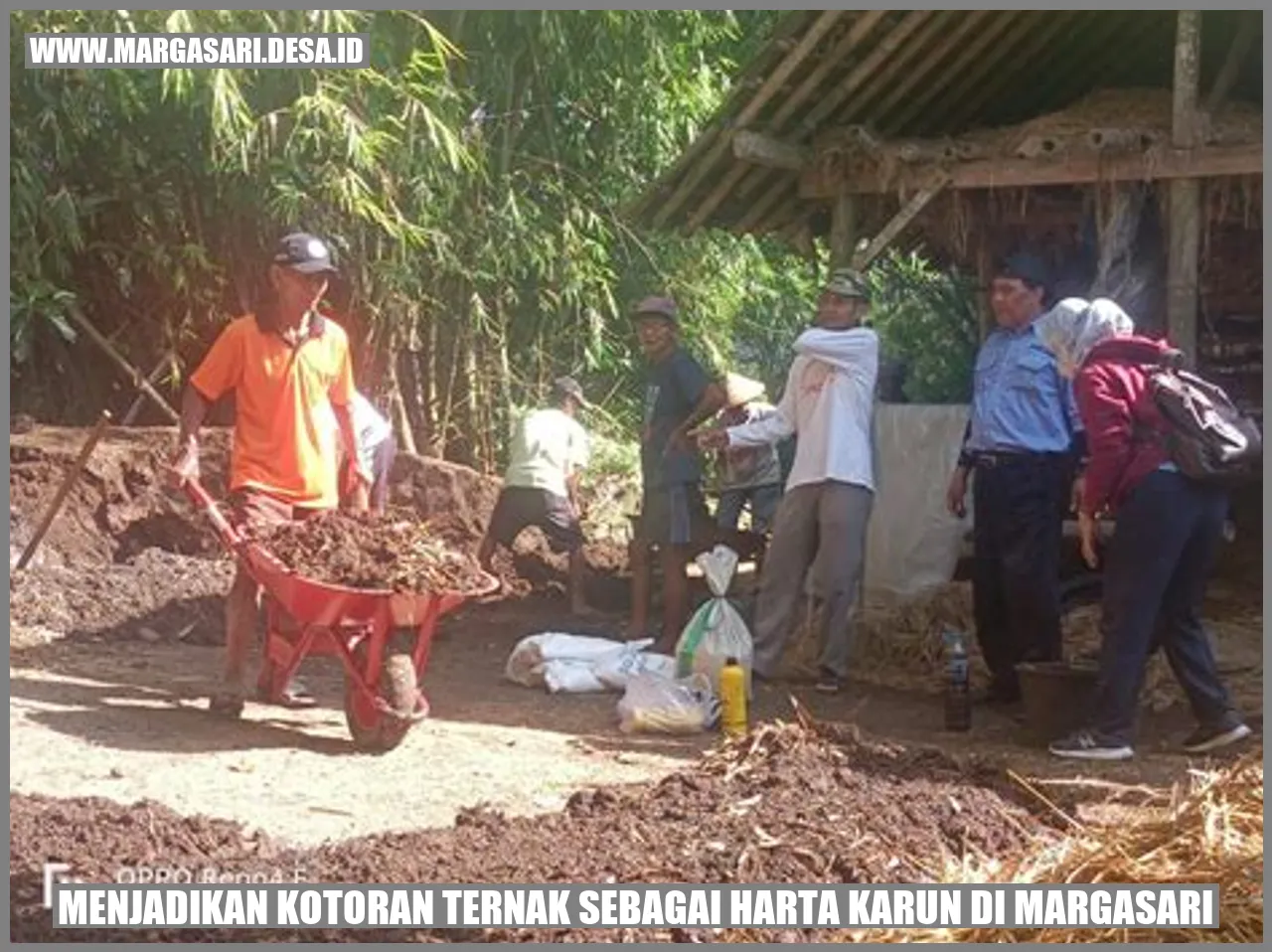 Kotoran Ternak