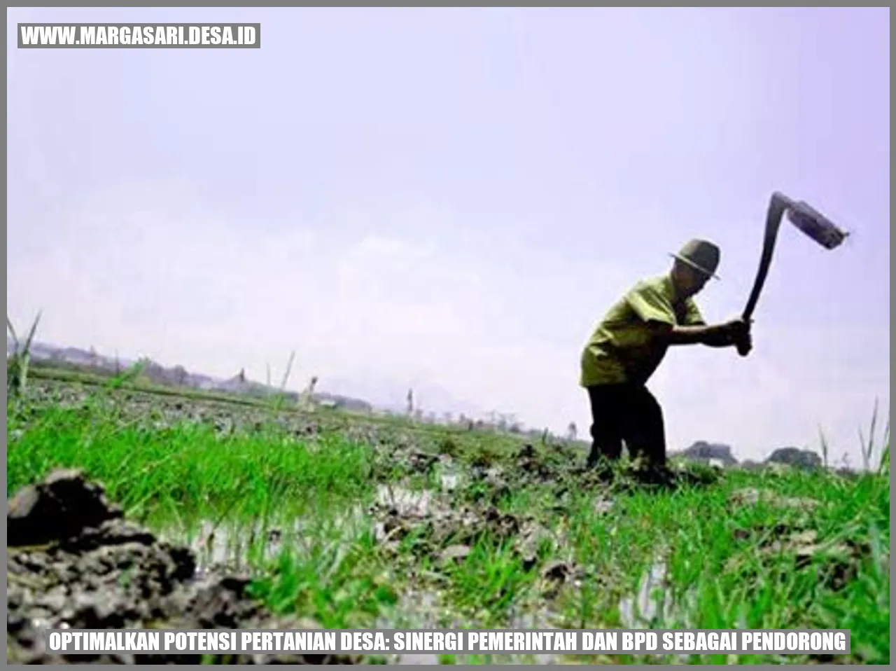 Optimalkan Potensi Pertanian Desa: Sinergi Pemerintah dan BPD sebagai Pendorong