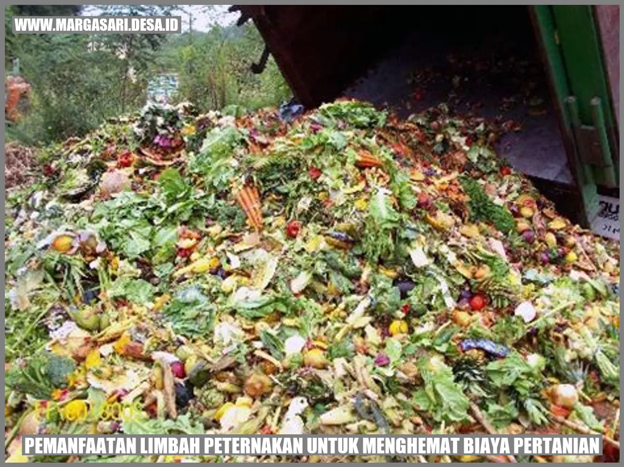 Pemanfaatan Limbah Peternakan untuk Menghemat Biaya Pertanian