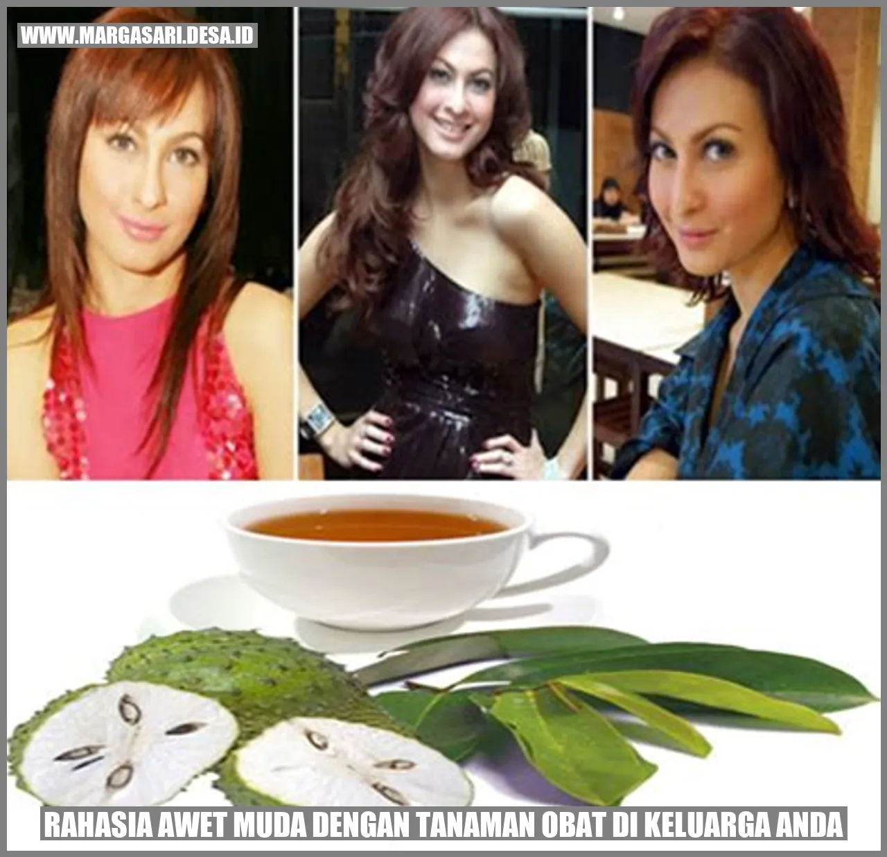 Gambar Aloe Vera