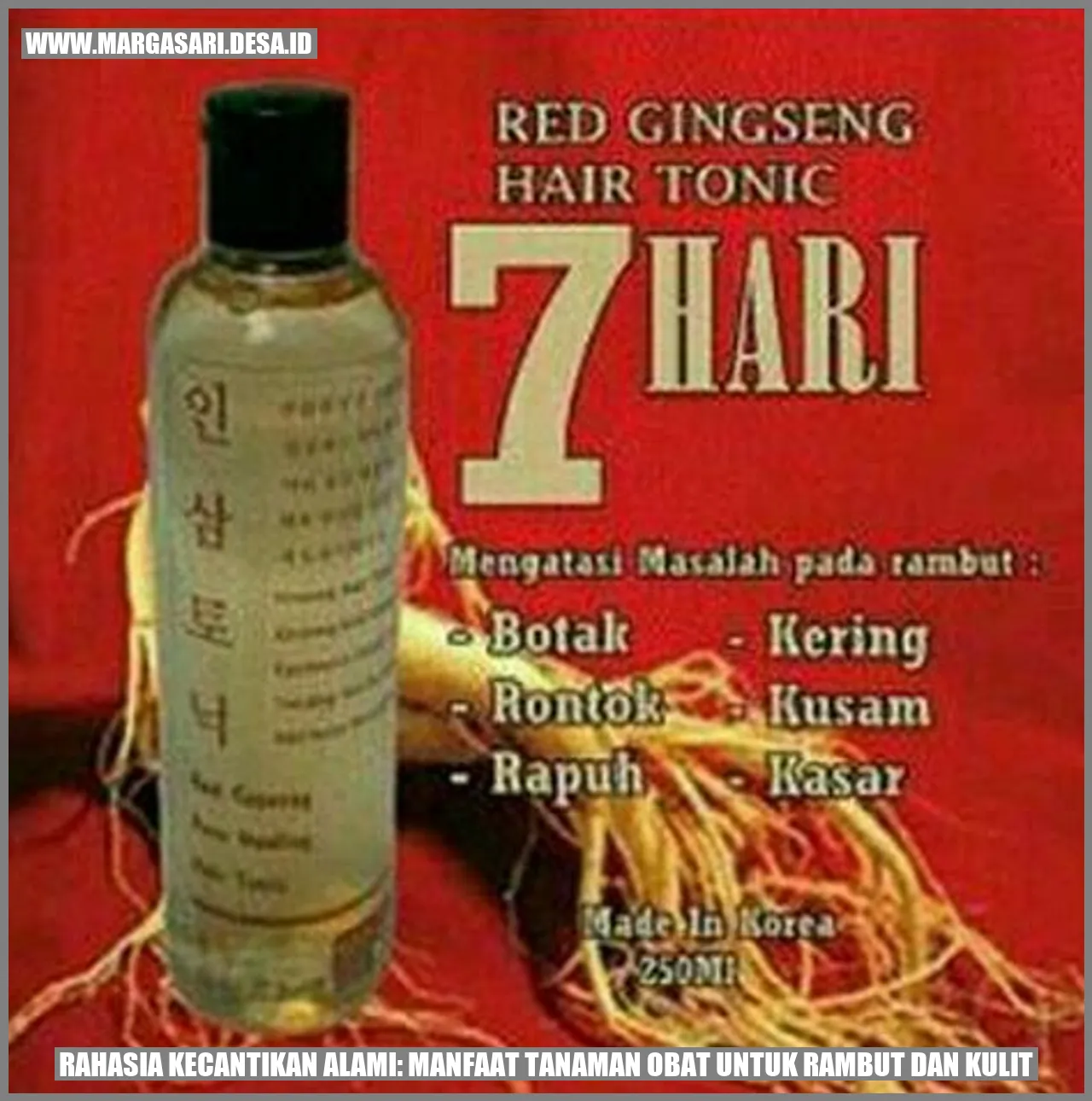 Rahasia Kecantikan Alami: Manfaat Tanaman Obat untuk Rambut dan Kulit