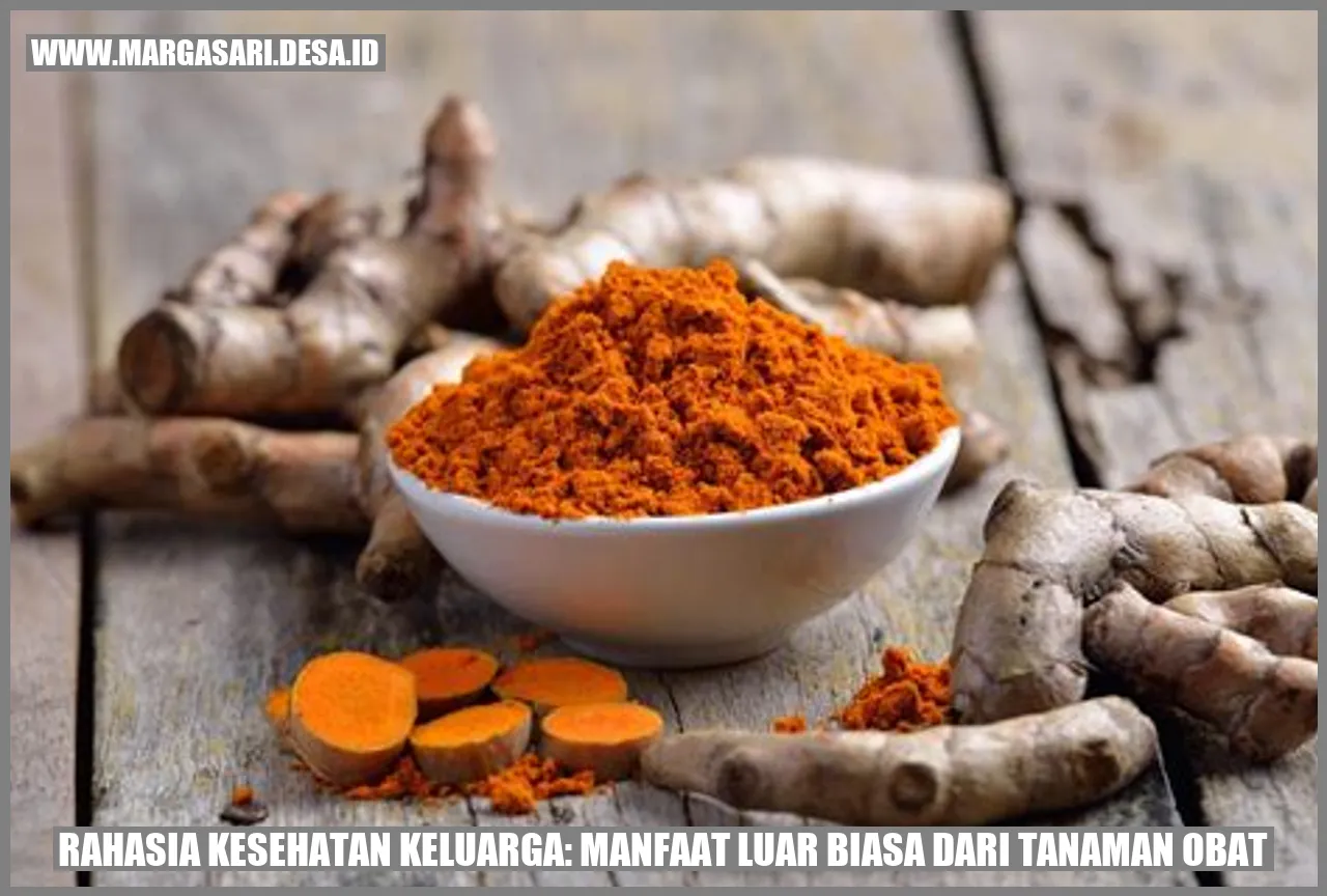Ilustrasi Tanaman Obat