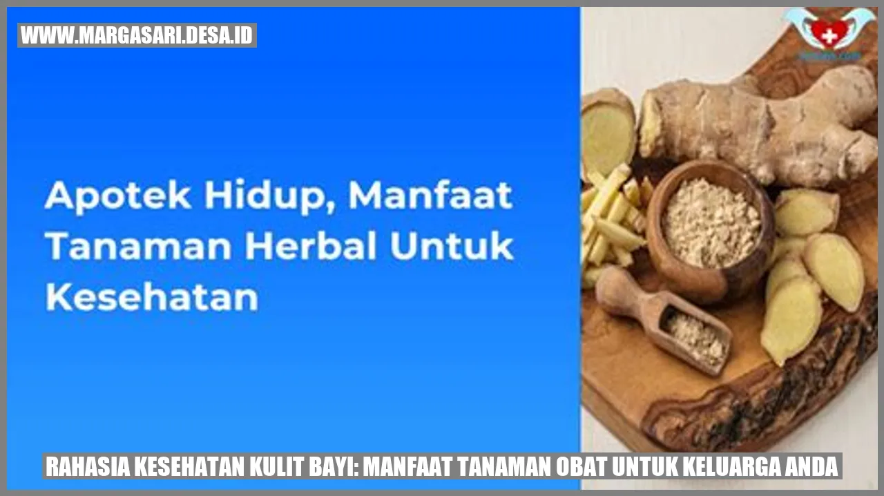 tanaman obat