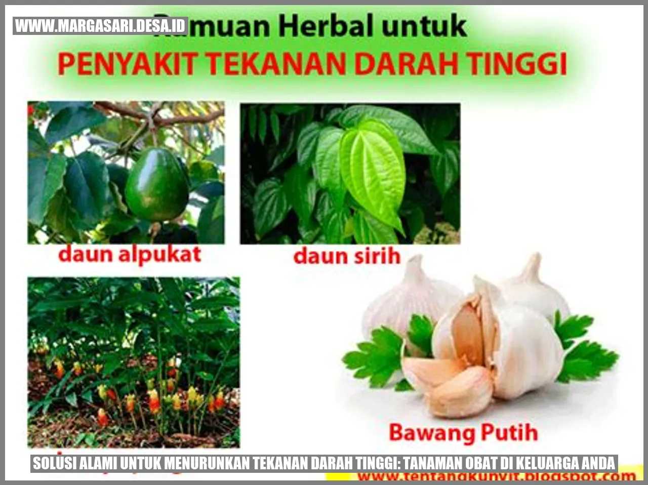 Anggur Merah