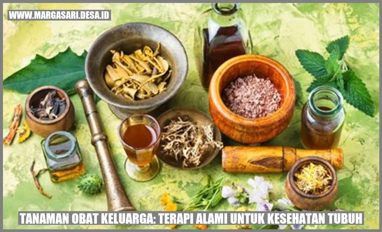 Tanaman Obat Keluarga: Terapi Alami untuk Kesehatan Tubuh