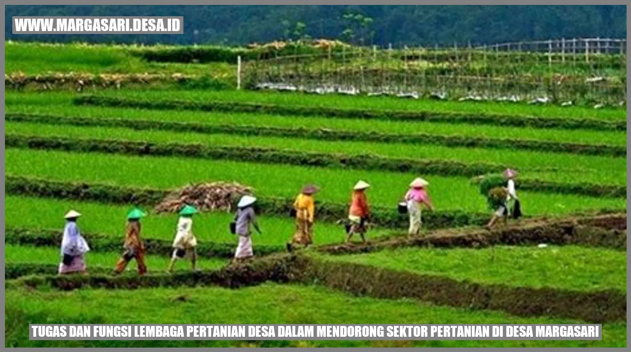 Tugas dan Fungsi Lembaga Pertanian Desa dalam Mendorong Sektor Pertanian di Desa Margasari